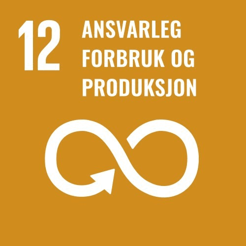 FN bærekraftsmål nummer 12